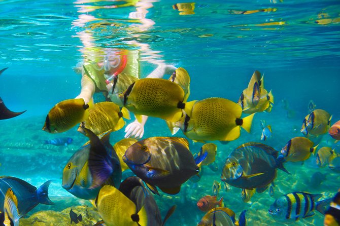 Full-Day Package: 4x4 ATV, Water Cave, Snorkeling Cruise At Punta Cana - Directions