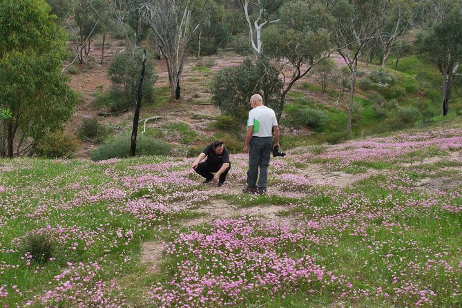 Full-Day Perth Flower Photography Excursion - Reviews