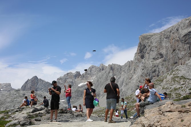 Full Day Private 4WD Tour From Bilbao to Picos De Europa. Fine Meals. - Price and Group Size