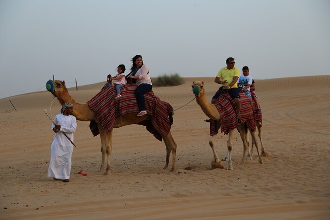 Full Day Private Desert Safari With Polaris Buggy and Dinner - Minimum Traveler Requirement