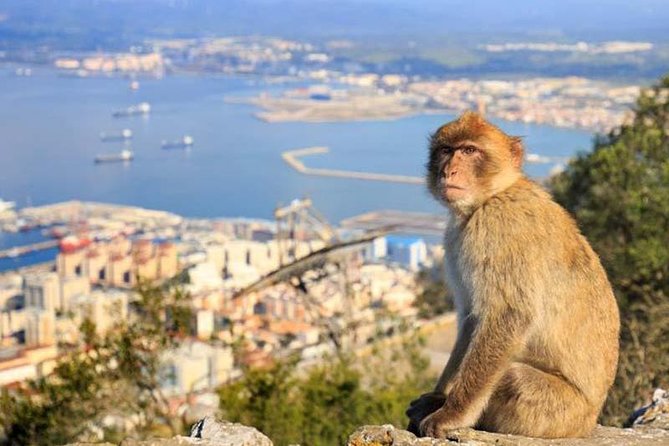 Full-Day Private Guided Historic Tour of Gibraltar From Cadiz - Directions