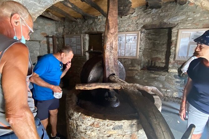 Full-Day Private Highlights Tour in Naxos Island - Pricing and Copyright