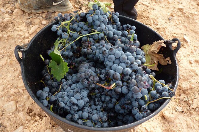 Full Day Private Requena Wineries Premium Tastings - Travel Time to the Vineyards
