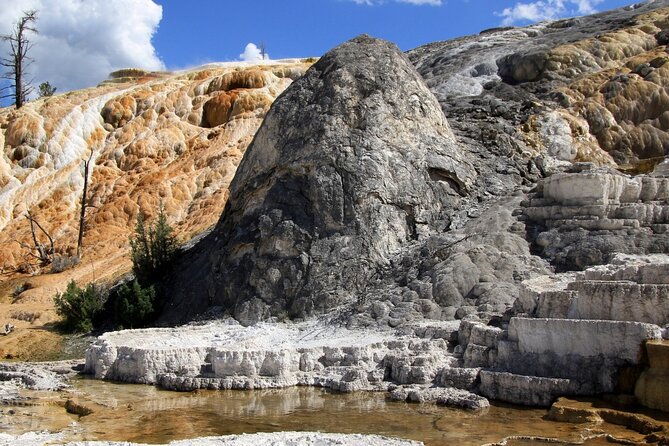 Full-Day Private Safari of Yellowstone - Reviews and Pricing