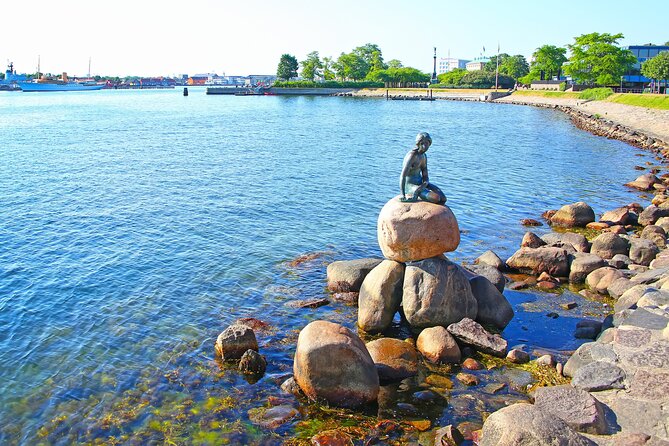 Full Day Private Shore Tour in Copenhagen From Fredericia Port - Return and Convenience