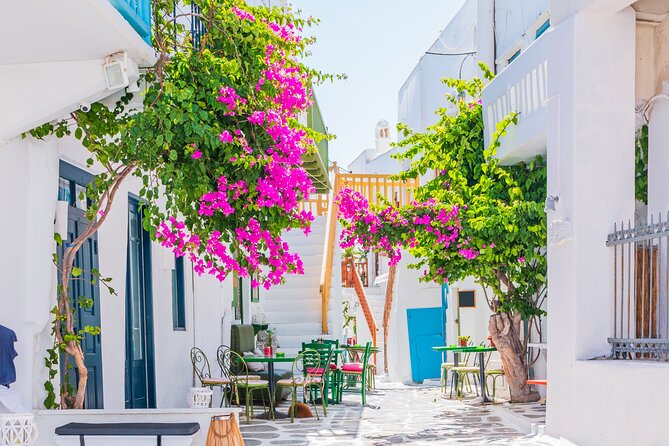 Full Day Private Shore Tour in Mykonos From Mykonos Cruise Port - Directions