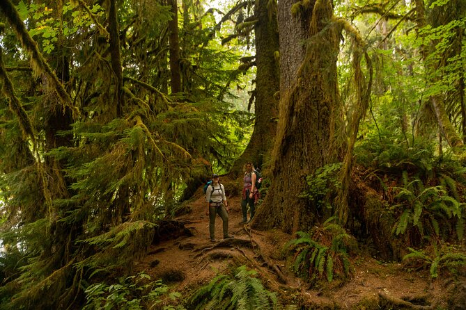 Full-Day Private Tour and Hike in Olympic National Park - Common Questions