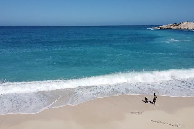 Full-Day Private Tour in Kefalonia - Questions, Pricing, and Terms & Conditions