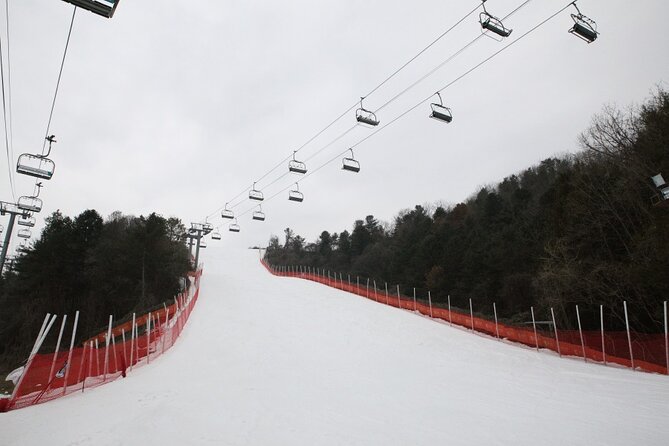 Full Day Private Tour Nami Island & Gangchon Elysian Ski - Product Details