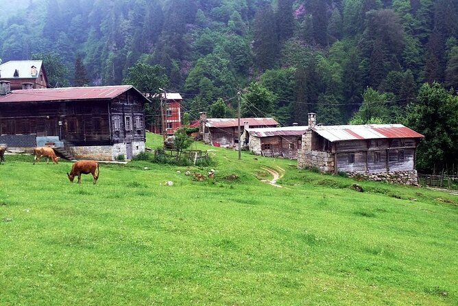 Full-Day Private Tour to Ayder Plateau From Trabzon - Traveler Reviews