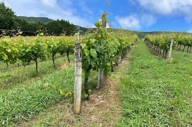 Full-Day Private Wine Tasting Tour in La Rioja With Lunch - Additional Information