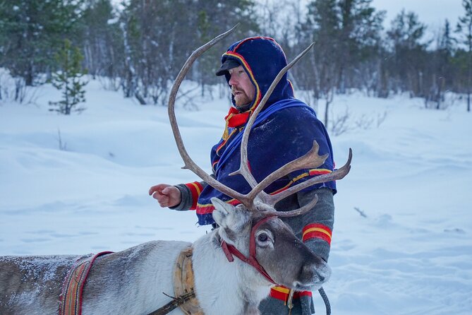 Full-Day Reindeer Tour With Pickup in Kiruna - Customer Reviews