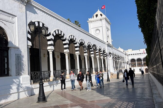 Full-Day Shore Excursion Private Tour in Tunisia Carthage ,Medina, Sidi Bou Said - Private Transportation and Convenience