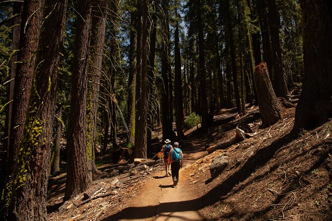 Full-Day Small Group Hiking Tour of Yosemite High Country and Mariposa Grove - Directions