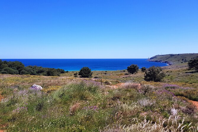 Full Day Tour of Otranto City and Its Amazing Seacoast From Lecce - Traveler Reviews