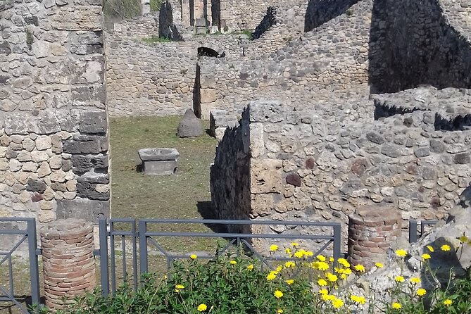 Full Day Tour Pompeii–Sorrento -Positano - Terms and Conditions