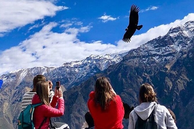 Full Day Tour to Colca From Arequipa - Weather Considerations