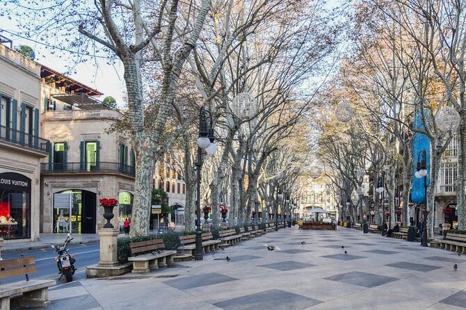 Full-Day Tour to Palma City and Valldemossa - Reviews and Customer Feedback