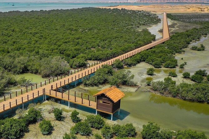 Full Day Tour to Qatar North And West With Pickup From Doha - Pricing and Value