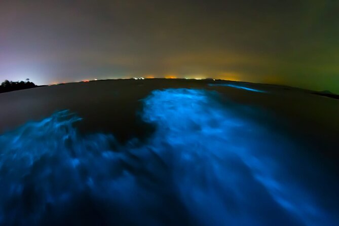 Full Day Tour Turtle Release and Bioluminescence - The Sum Up