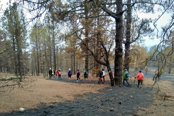 Full Day Tour With Hiking to the Tajogaite Volcano - Common Questions