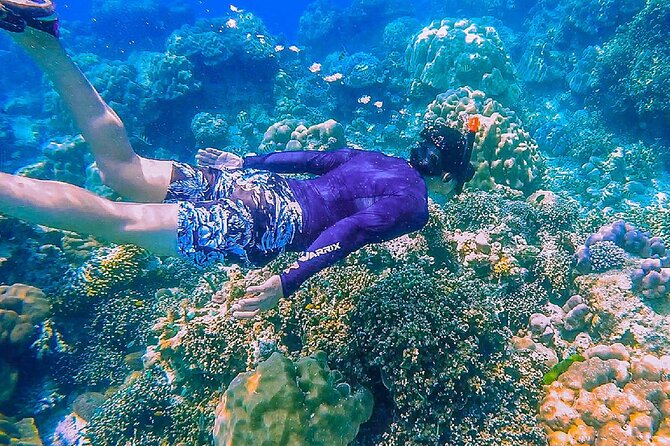 Full-Day Tour With Snorkeling on Surin Island From Khao Lak - Booking and Pricing Information