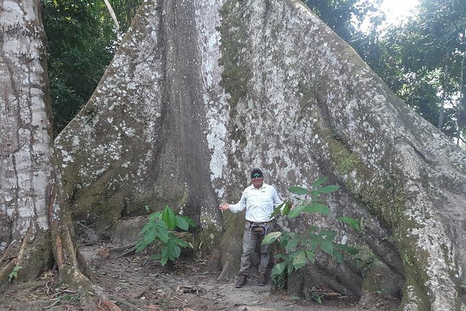 Full Day Trip Amazonas - Tour Itinerary and Activities