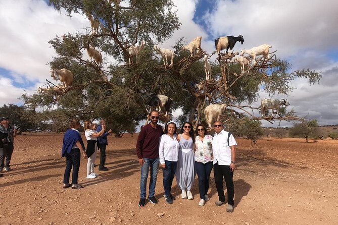 Full Day Trip to Essaouira City From Marrakech - Additional Information