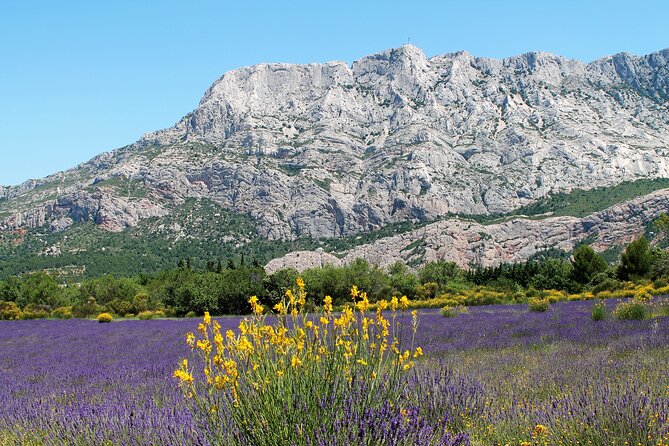 Full-Day Wine and Cheese Tour Around Aix-En-Provence From Marseille - Recommendation and Experience