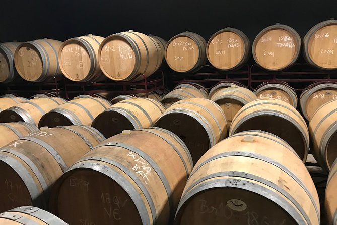 Full Day Wine Tour From Albufeira - Common Questions