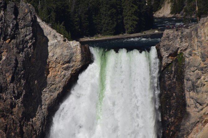 Full Day Yellowstone Upper Loop Tour - Customer Reviews