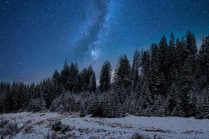 Full Moon Snowshoe Tour - Traveler Photos