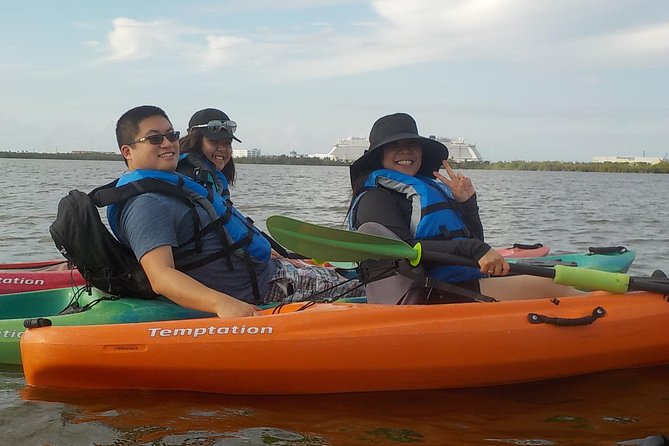 Fully Guided Kayaking Backwater Manatee and Dolphin Tour - Meeting and Pickup