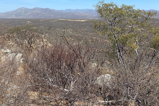 Fun Hiking Tour With Awesome Views - Scenic Photo Opportunities