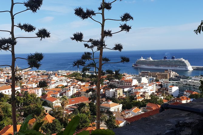 Funchal City Tour - Common Questions