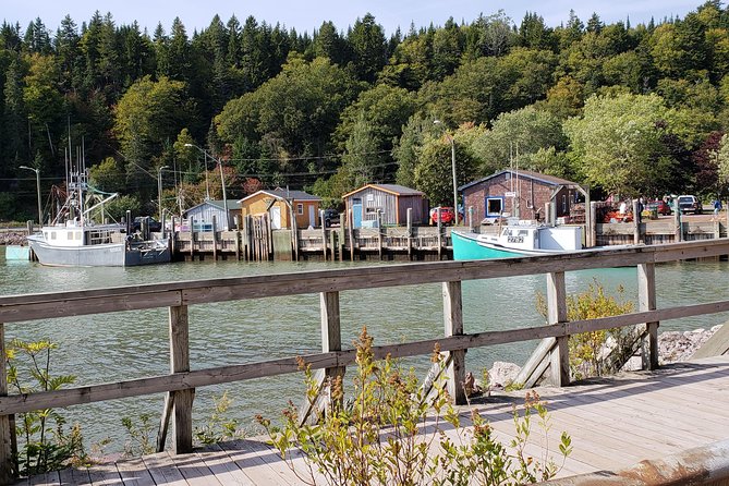 Fundy Coast to Fundy Shore Tour - Great Way to Explore St. John