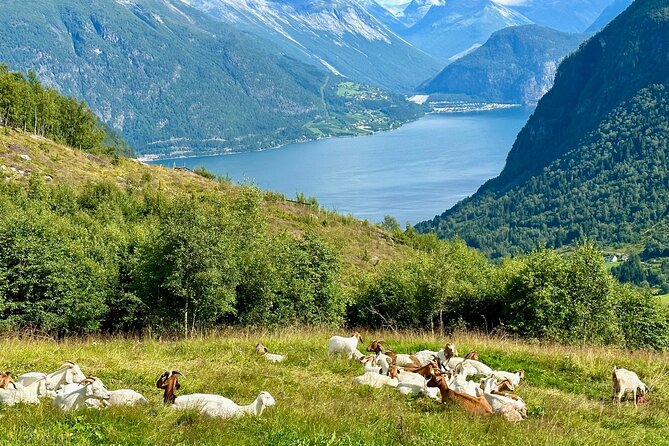 Geiranger Tour in the Footsteps of Royalty  - Andalsnes - Touch of Elegance