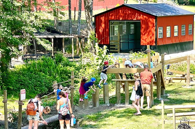 Gem Mining and Goat Farm Walking Tour in Hendersonville - The Sum Up