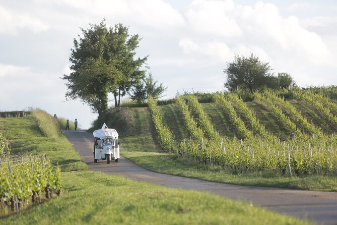Geneva Panoramic and Tasting Vineyards Tour in a TukTuk (electric) - Exploring the Swiss Countryside