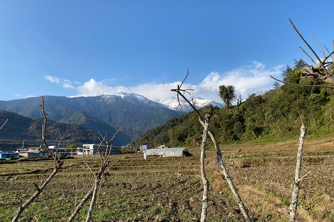 Gentle Walking Tour to Explore Nature in Pokhara - Local Flora and Fauna to Look Out For