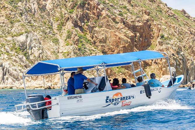 Glass-Bottom Boat Cruise in Cabo San Lucas - Customer Feedback