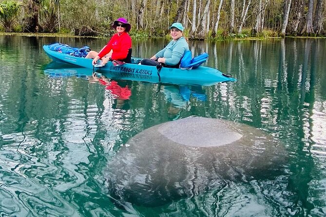 Glass Bottom Kayak Manatee Tour in Silver Springs - Cancellation Policy