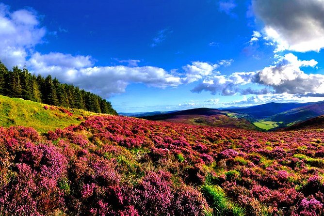 Glendalough, Wicklow - Private Shore Excursion - Lowest Price Guarantee