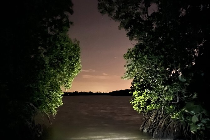 GLOW Clear Kayak Tour - Safety Guidelines