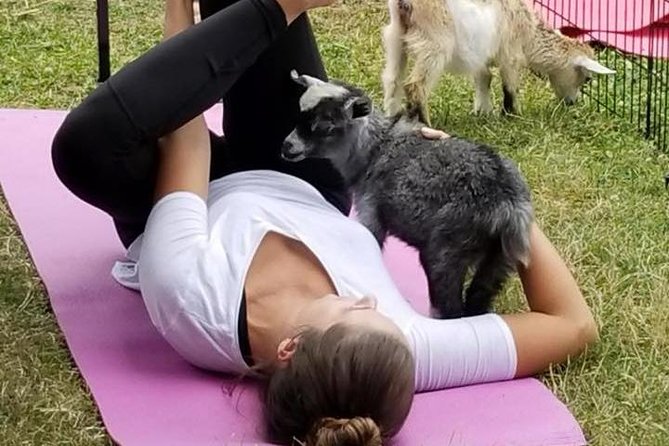 Goat Yoga and Wine Tasting - Additional Information and Restrictions