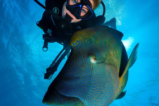 Gold Class VIP Great Barrier Reef Cruise From Cairns by Luxury Superyacht - Traveler Reviews
