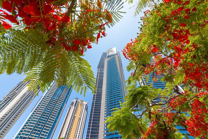 Gold Coast Photography Course For Beginners - The Sum Up