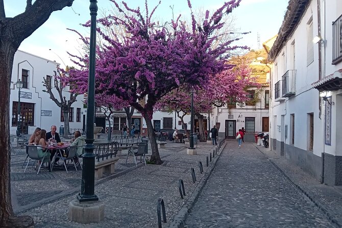 Granada History, Heritage and Culture Guided Tour - Reviews and Ratings