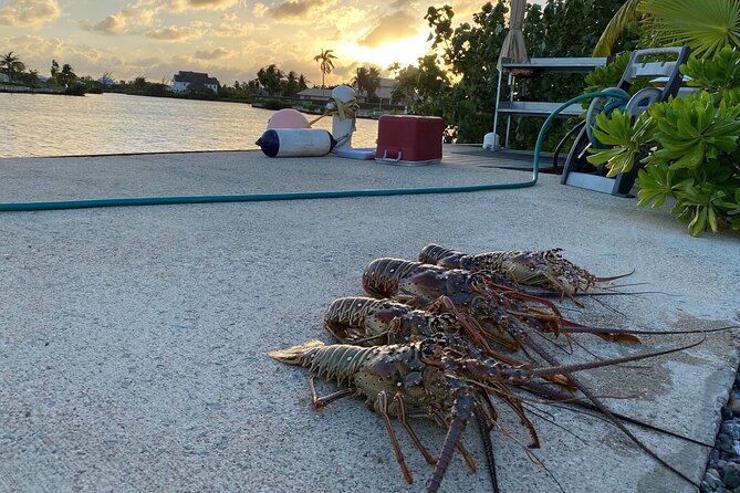 Grand Cayman Private Charter Snorkel Tour - Traveler Photos and Reviews