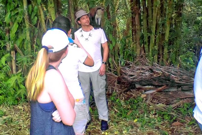 Grenada Spice Gardens, Rum & Chocolate Tour (Full/Half Day) - The Sum Up